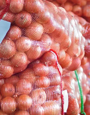 Packaging Industry Applications 