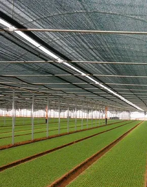 Agriculture Sector Solutions