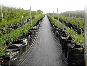 Flow Chart For PP/HDPE  Woven Gentextile