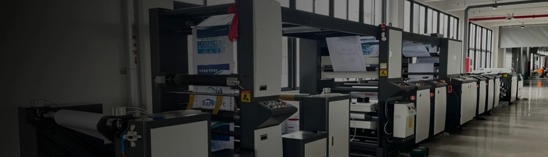 Flexo Printing Machine 